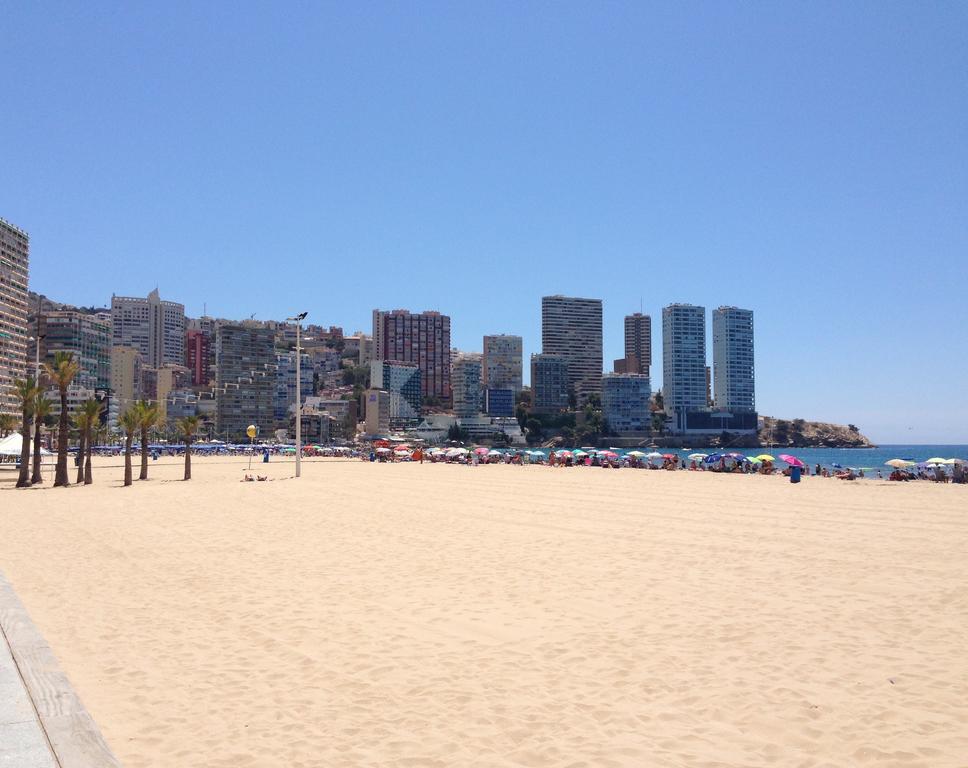 Apartament Carolina - Arca Rent